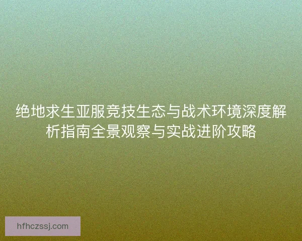绝地求生亚服竞技生态与战术环境深度解析指南全景观察与实战进阶攻略